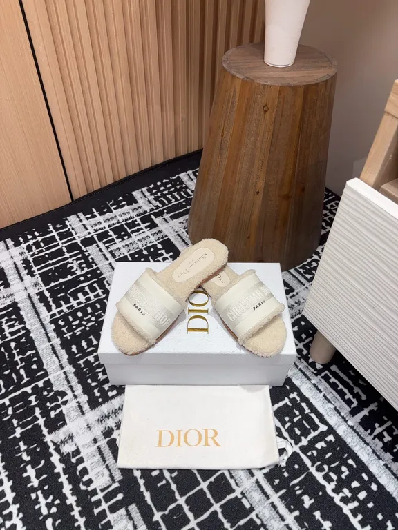 Dior Shoe 